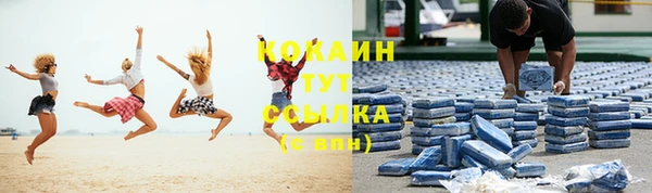 индика Армянск