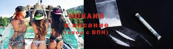 ешки Аркадак