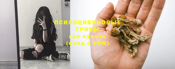 индика Армянск