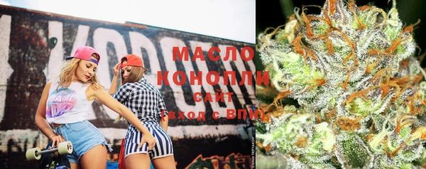 индика Армянск