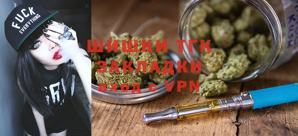 ешки Аркадак