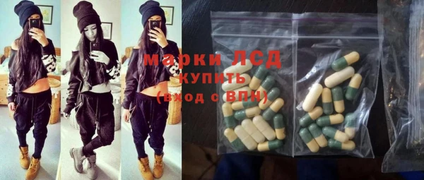 ешки Аркадак