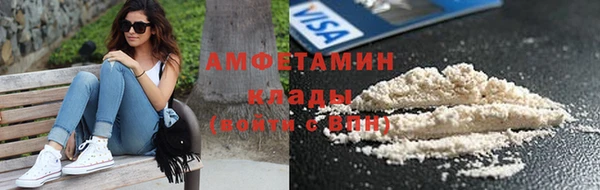 ешки Аркадак